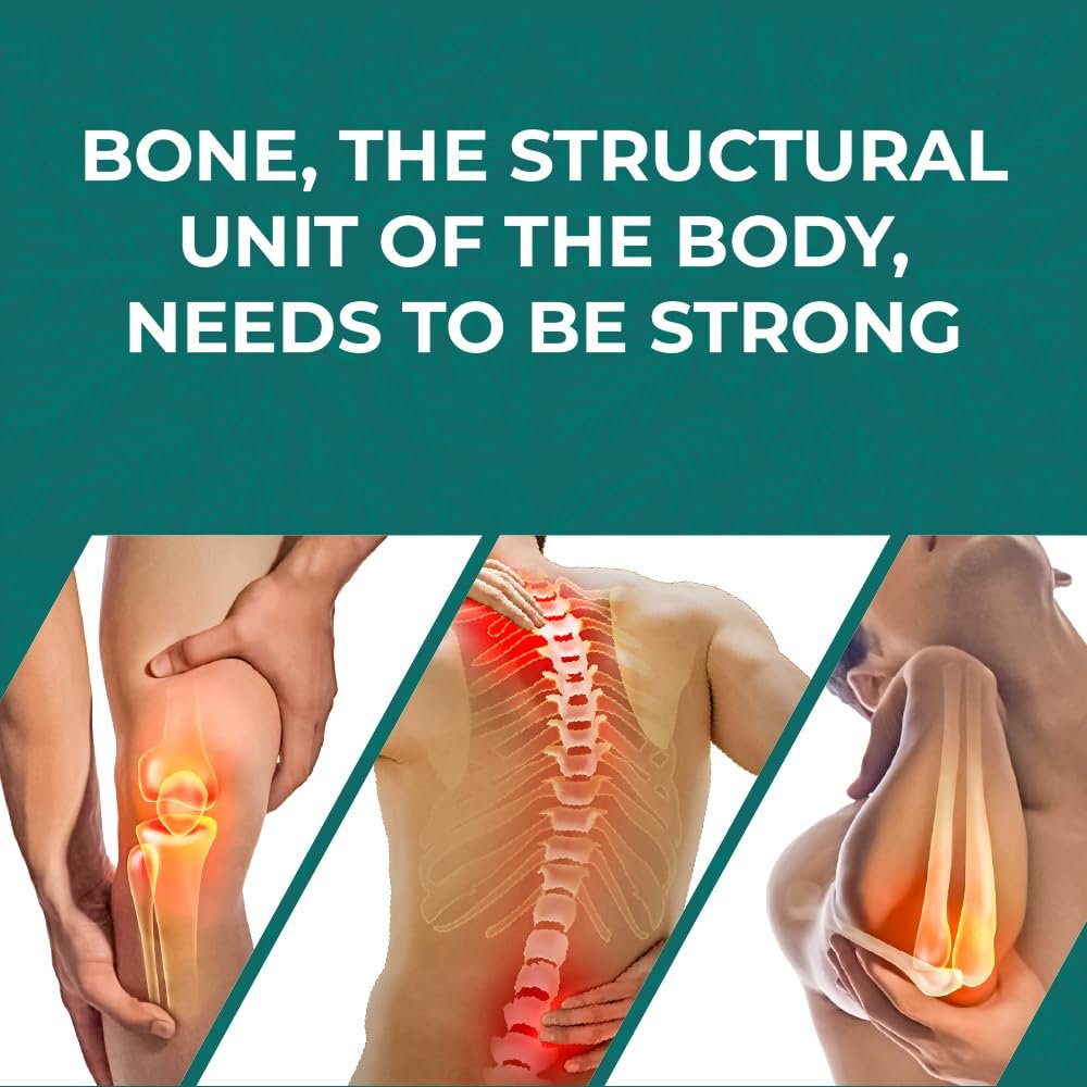 Himalaya Pure Herbs Hadjod Bone & Joint Wellness 60 Tablet