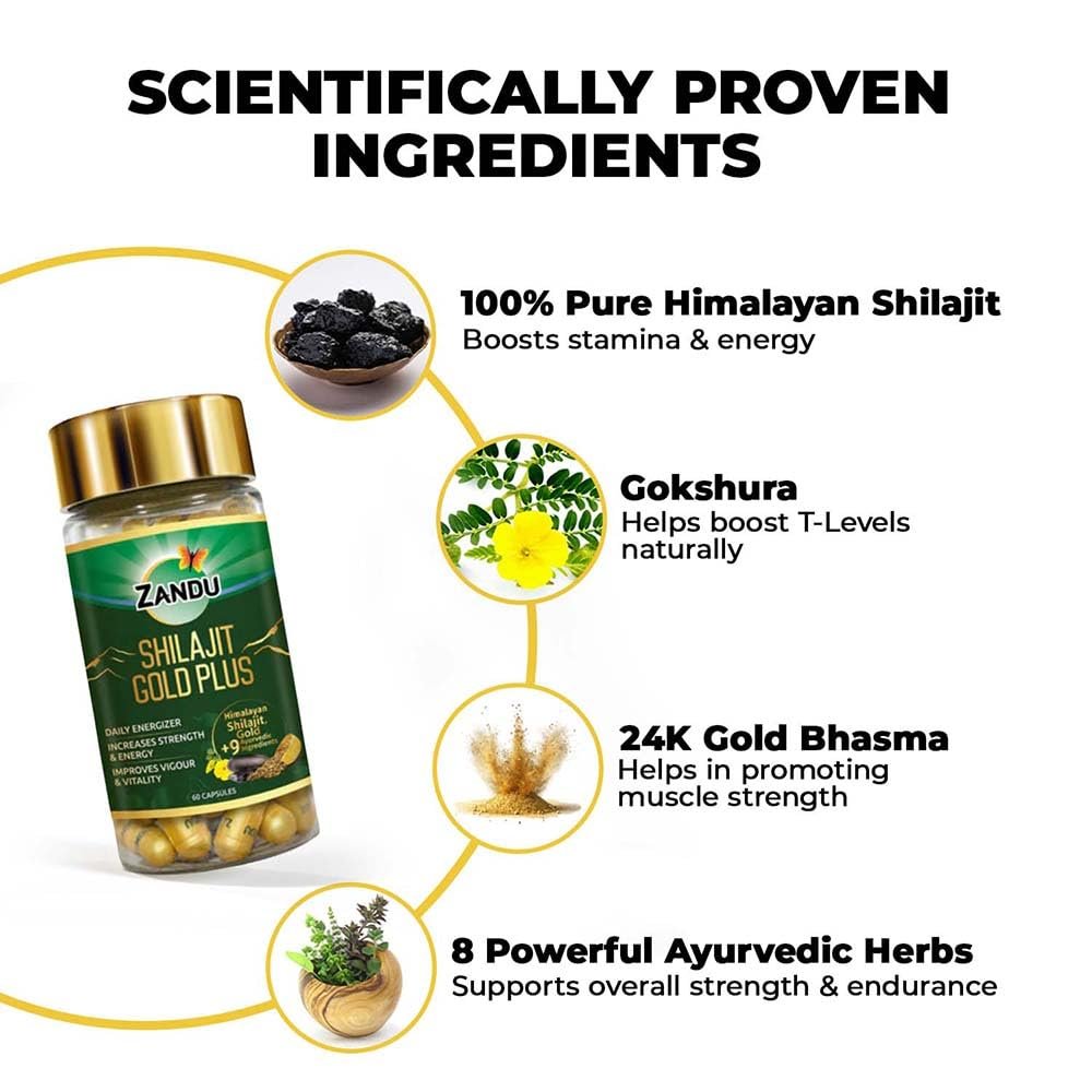 Zandu Shilajit/Shilajeet Gold Plus Boosts Stamina, Strength & Energy 60 Capsules