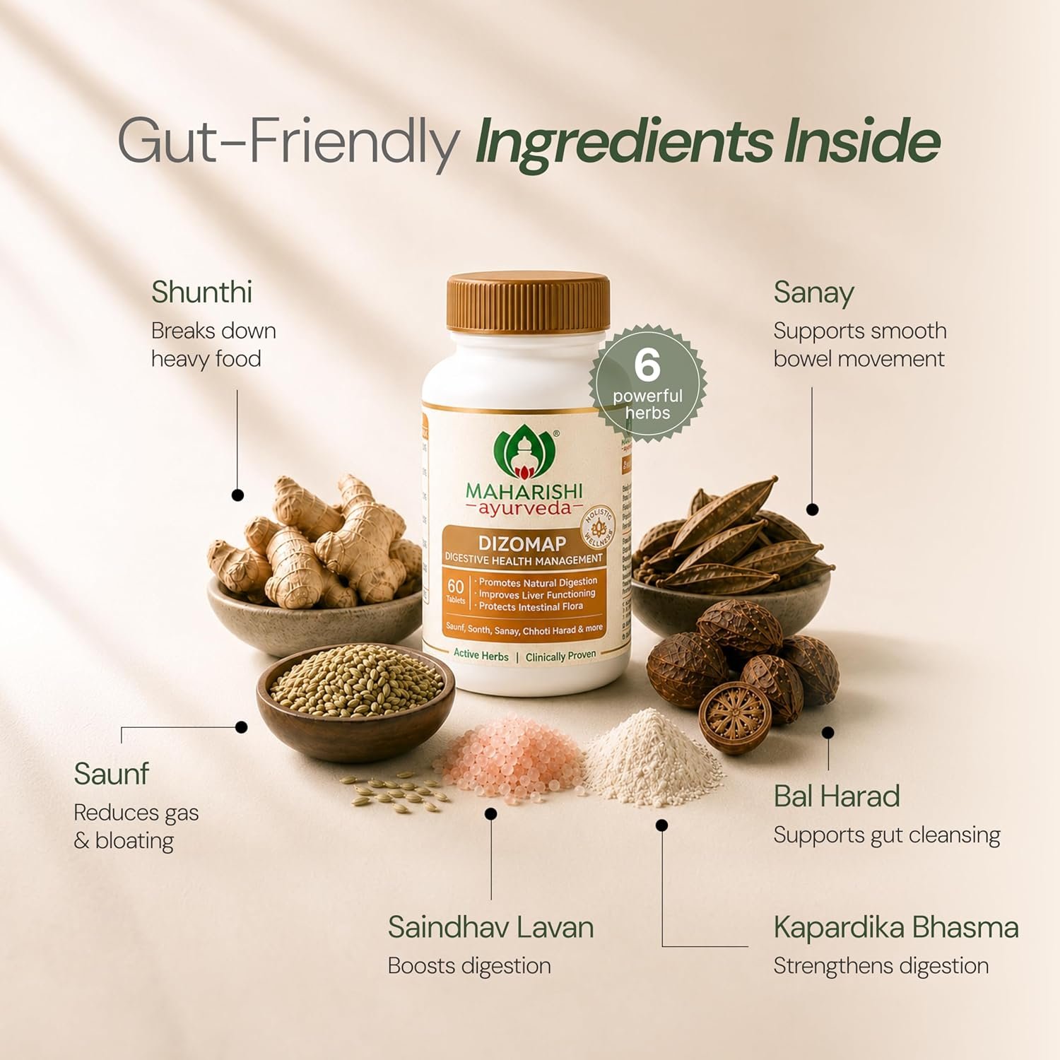Maharishi Ayurveda Dizomap Digestion 120 Tablet