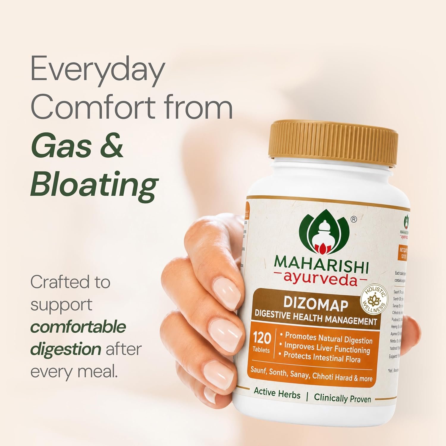 Maharishi Ayurveda Dizomap Digestion 120 Tablet