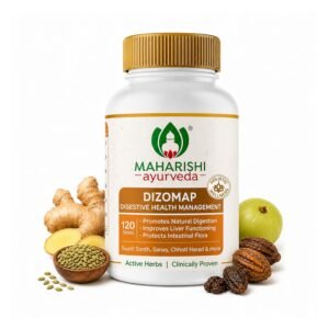 Maharishi Ayurveda Dizomap Digestion 120 Tablet